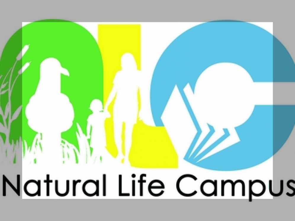 Natural Life Campus - Quarry Life Award
