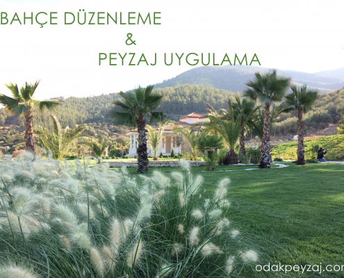 İzmir Bahçe Düzenleme Firması