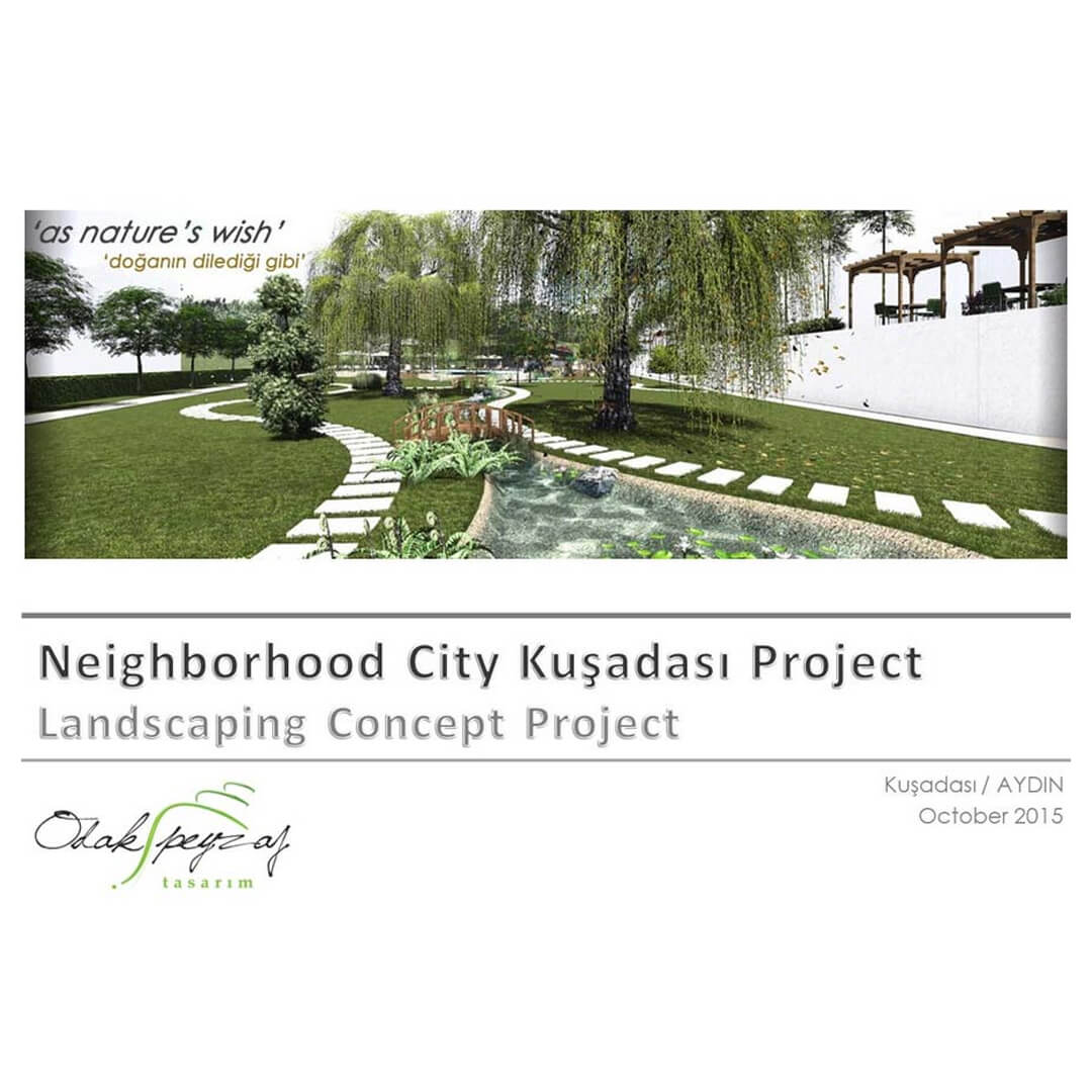 Star Neighborhood International